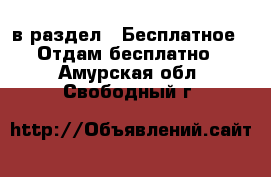  в раздел : Бесплатное » Отдам бесплатно . Амурская обл.,Свободный г.